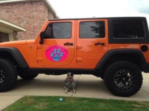 Car magnet for Haute Paws Escape on side of orange Jeep