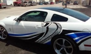 White Ford mustang with blue and black decals of a snake
